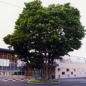 雫石町健康センター