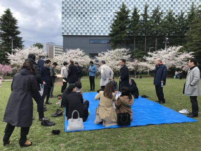 花見ランチ3