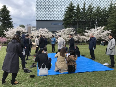 花見ランチ３