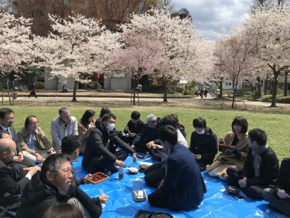 花見ランチ４