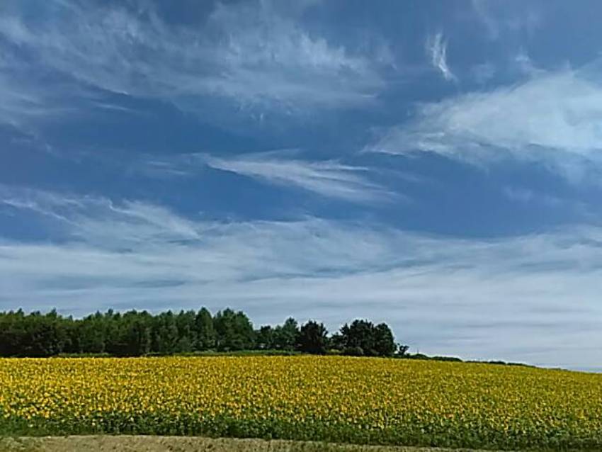 ①北海道_4443